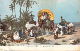 AFRIQUE - Le Repos Dans L'oasis - Chameaux - Carte Postale Ancienne - Ohne Zuordnung