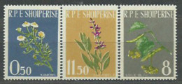 ALBANIA 1962 - PLANTAS MEDICINALES - YVERT 573/575** - Geneeskrachtige Planten