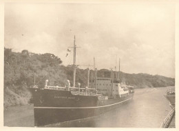 Le GJERTRUD ... * Bateau Cargo Commerce Paquebot * Photo Ancienne 11.6x8.8cm - Cargos