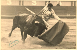 Corrida Tauromachie Sevilla * Toréador En Action ! * Photo Ancienne 17.5x11.5cm Photo DIEGO Diego Signée Signature ! - Corridas