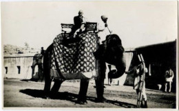 Felice Lombardi In INDIA - Industriale Di VERCELLI (Riding Indian Elephant) RISO - Éléphants