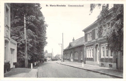 BELGIQUE - ST MARIA HOREBEKE - Gemeenteschool - Carte Postale Ancienne - Autres & Non Classés