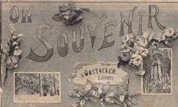 BELGIQUE - OOSTACKER LOURDES - Souvenir D'Oostacker Lourdes - Carte Postale Ancienne - Altri & Non Classificati