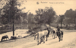 BELGIQUE - ROCHEFORT - Paysage Au Pont De Pierres - Carte Postale Ancienne - Rochefort