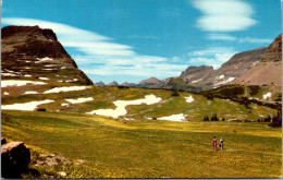 Montana Glacier National Park Logan Pass's Alpine Meadow - Altri & Non Classificati