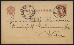 1880, Österreich, P 25, Brief - Mechanische Stempel