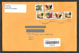 US Cover With Food Stamps Sent To Peru - Alimentation