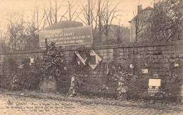 BELGIQUE - DINANT - Place D'Albeau - Mur Tschoffen - 116 Dinantais Fusillés Le 23 08 1914 - Carte Postale Ancienne - Dinant