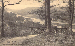 BELGIQUE - DAVE - Pont Rustique Au Vieux Château - Carte Postale Ancienne - Other & Unclassified