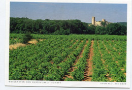 AK 131388 FRANCE - Weingärten Von Chateauneuf-du-Pape - Chateauneuf Du Pape
