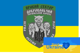 FLAG BANNER UKRAINE WAR 2022-2023 - Pravyy Sector Sektor (#5) - Flaggen