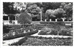 CAMPO GRANDE. TERRAZA / LARGE FIELD, PLATEBANDE.-  VALLADOLID.- ( ESPAÑA ) - Valladolid