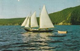 Sailing In Bay Of Islands, Newfoundland - Sonstige & Ohne Zuordnung