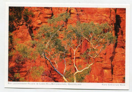 AK 131532 AUSTRALIA - Queensland - Rot Leuchtender Felsen Im Lawn-Hill-Nationalpark - Andere & Zonder Classificatie