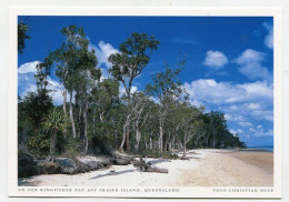 AK 131536 AUSTRALIA - Queensland - An Der Kingfisher Bay Auf Frase Island - Andere & Zonder Classificatie