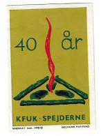  DENMARK DANMARK Dänemark  Scouting Pfadfinder Scouts KFUK SPEJDERNE VIGNETTE CINDERELLA  - Unused Stamps