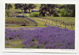 AK 131553 AUSTRALIA - SA - Weinregion Clare Valley - Sonstige & Ohne Zuordnung