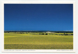 AK 131555 AUSTRALIA - SA - Farmland Bei Ceduna - Otros & Sin Clasificación