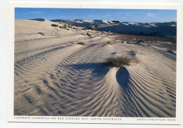 AK 131556 AUSTRALIA - SA - Yanerbie Sandhills An Der Streaky Bay - Autres & Non Classés