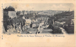 LUXEMBOURG - Vallée De La Basse Petrusse Et Viaduc Du Bisserweg - Carte Postale Ancienne - Sonstige & Ohne Zuordnung