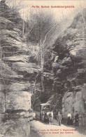 LUXEMBOURG - Petite Suisse Luxembourgeoise - La Route De Berdorf à Vogelsmuhle Traverse Le.. - Carte Postale Ancienne - Berdorf