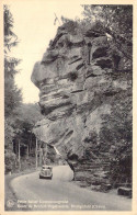 LUXEMBOURG - Petite Suisse Luxembourgeoise - Route De Berdorf-Vogelsmuhle Predigtstuhl - Carte Postale Ancienne - Berdorf