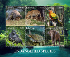 LIberia  2022 Endangered Species.  Gorila. (407a) OFFICIAL ISSUE - Gorillas