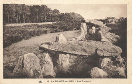 La Trinité Sur Mer * Vue Sur Les Dolmens * Pierre Mégalithes - La Trinite Sur Mer