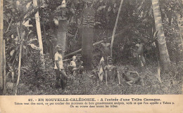 FRANCE - En Nouvelle Calédonie - A L'Entrée D'une Tribu Canaque - Carte Postale Ancienne - Nouvelle Calédonie