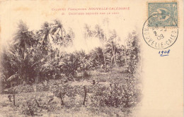 FRANCE - Nouvelle Calédonie - Cocotiers Secoués Par Le Vent - Carte Postale Ancienne - Nouvelle Calédonie