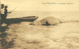 20327 " CONGO BELGE (KIVU)-LAC TANGANYIKA-HIPPOPOTAME " ANIMÉ-VERA FOTO-CART. POST. NON SPED. - Congo Belge