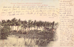 FRANCE - Nouvelle Calédonie - Plage Couverte De Cocotiers - Tribu De Baoum - Carte Postale Ancienne - Nouvelle Calédonie