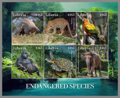 LIBERIA 2022 MNH Gorilla Gorille Endangered Species M/S - OFFICIAL ISSUE - DHQ2318 - Gorilles