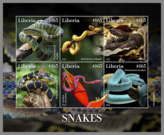 LIBERIA 2022 MNH Snakes Schlangen Serpents M/S - OFFICIAL ISSUE - DHQ2318 - Serpents