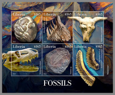 LIBERIA 2022 MNH Fossils Fossilien Fossiles M/S - IMPERFORATED - DHQ2318 - Fossili