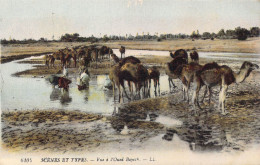 ALGERIE - Scènes Et Types - Vue à L'Oued Bayech - Carte Postale Ancienne - Scènes & Types