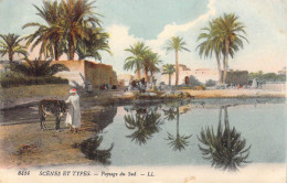 ALGERIE - Scènes Et Types - Paysage Du Sud - Carte Postale Ancienne - Scenes