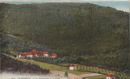 Delcampe - ***  67  ***   SCHIRMECK  Le Sanatorium Et La Forêt    - Neuve TTB  - Schirmeck