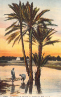 ALGERIE - Scènes Et Types - Paysage Du Sud - Carte Postale Ancienne - Escenas & Tipos