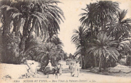 ALGERIE - Scènes Et Types - Dans L'Oasis De Palmiers-Dattiers - Carte Postale Ancienne - Plaatsen