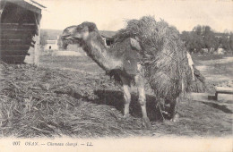 ALGERIE - Oran - Chameau Chargé - Carte Postale Ancienne - Oran