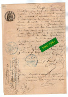 VP21.977 - Tribunal D'ALENCON X RAVIGNY - Acte 1893 - Certificat Veuve BORE - GUITTARD X CUSSON à GANDELAIN - Manuscrits