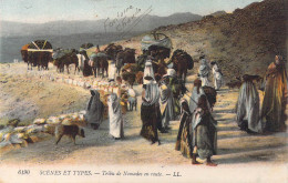 ALGERIE - Scènes Et Types - Tribu De Nomades En Route - Carte Postale Ancienne - Szenen