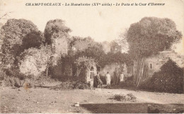 Champtoceaux * La Hamelinière , Le Puits Et La Cour D'honneur * Villageois - Champtoceaux