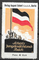 OLD ORIGINAL GERMANY DEUTSCHLAND Scherl's Jungdeutschland-Buch, Verlag August Scherl, Berlin, Pfadfinder Mit Flagge - Nuovi