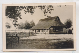 2903 BAD ZWISCHENAHN - DREIBERGEN, Fährkroog, 1951 - Bad Zwischenahn