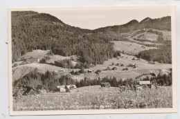 A 6991 MITTELBERG - SCHWENDE, Blick Auf Das Dorf - Kleinwalsertal