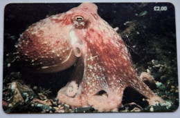 Isle Of Man Manx Telecom £2   21 Units  " Lesser Or Curled Octopus " - Isla De Man