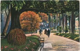 CPA Carte Postale Monaco Monte Carlo Jardin Du Casino 1930   VM67128 - Monte-Carlo