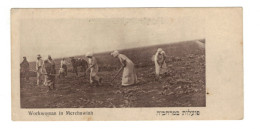 DH1416 - PALESTINE - MERCHAWIAH WORKING WOMEN - SMALL PC 5.50x2.60 INCH - Palästina